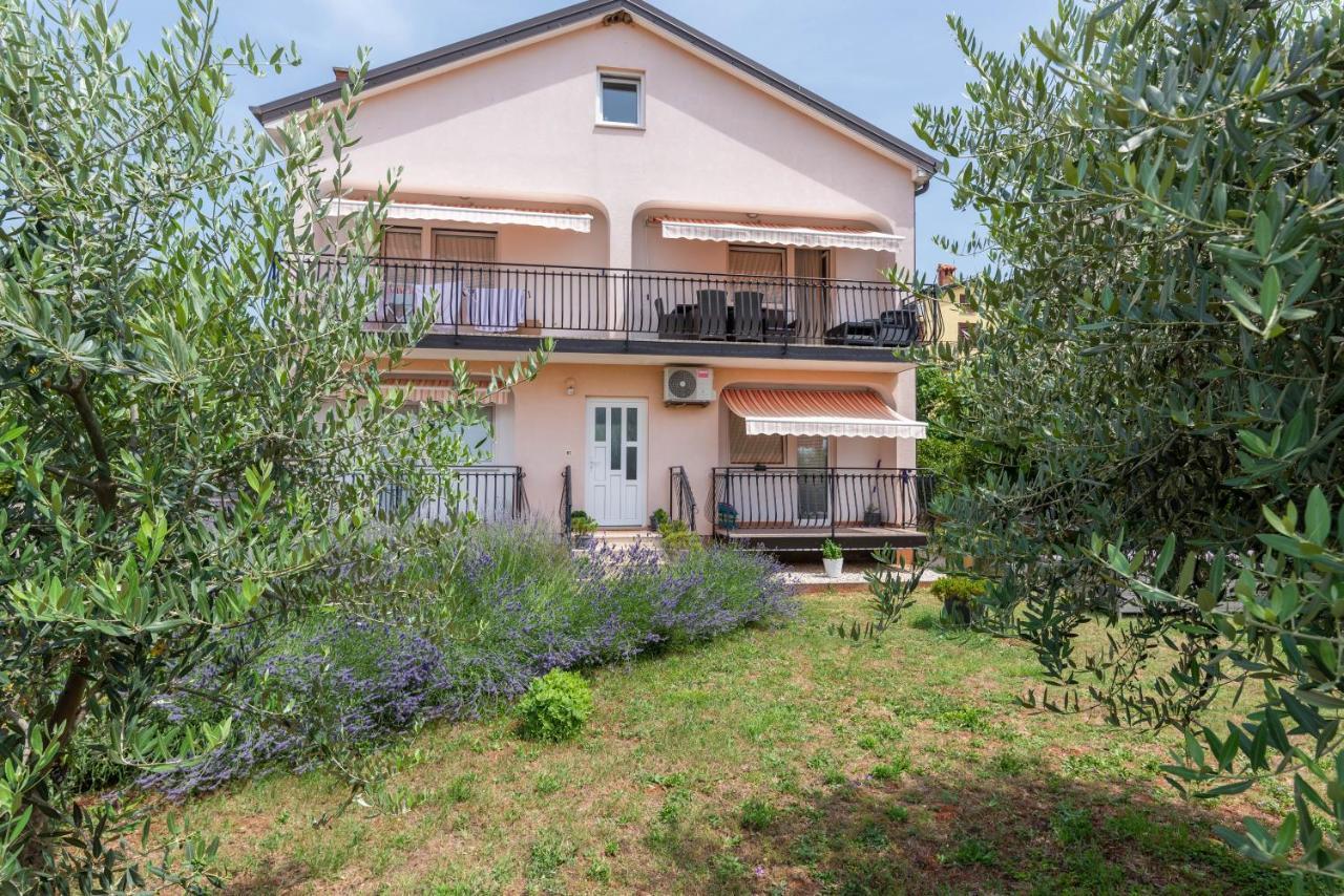 Apartment Masha Novigrad Istria Exterior foto